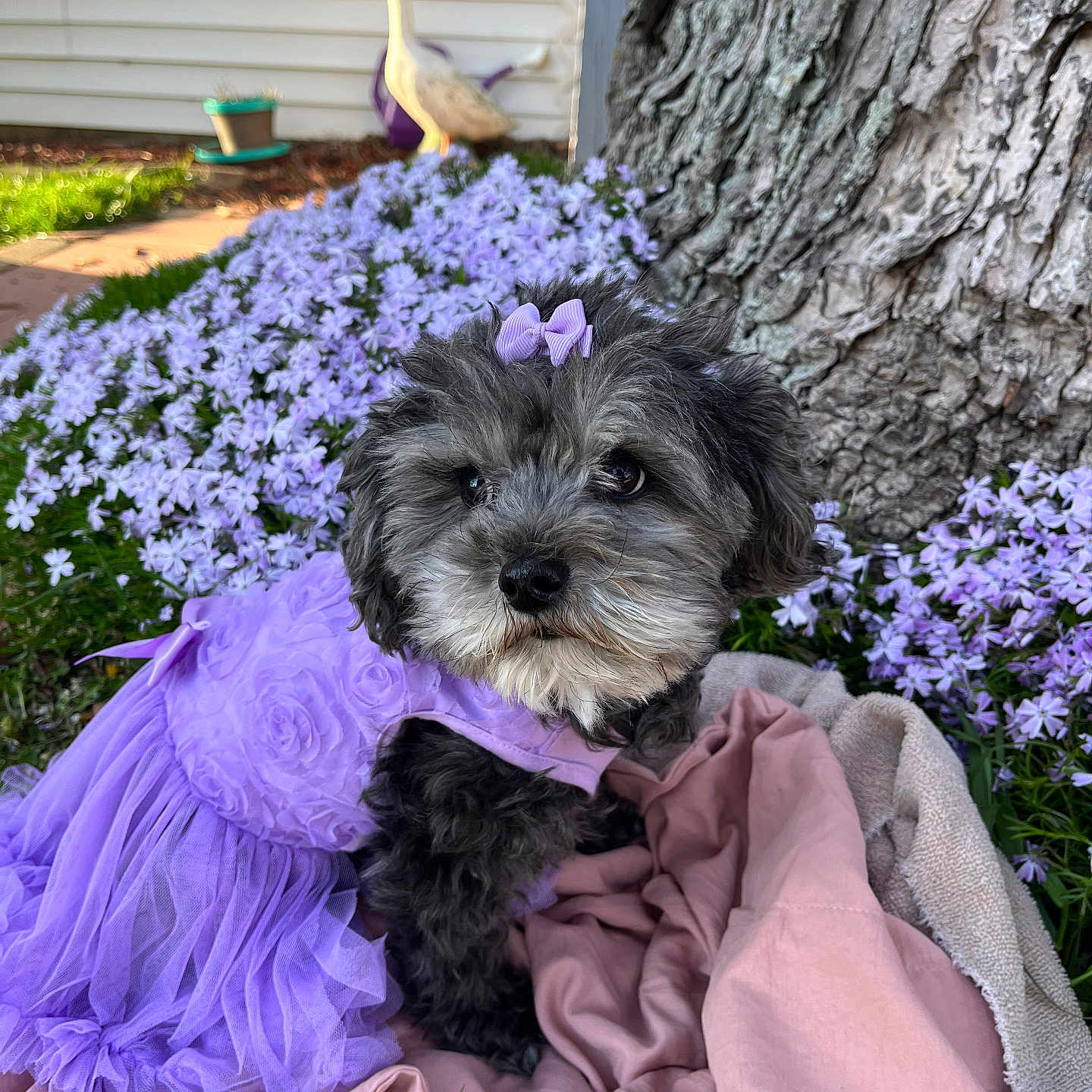 Suzie