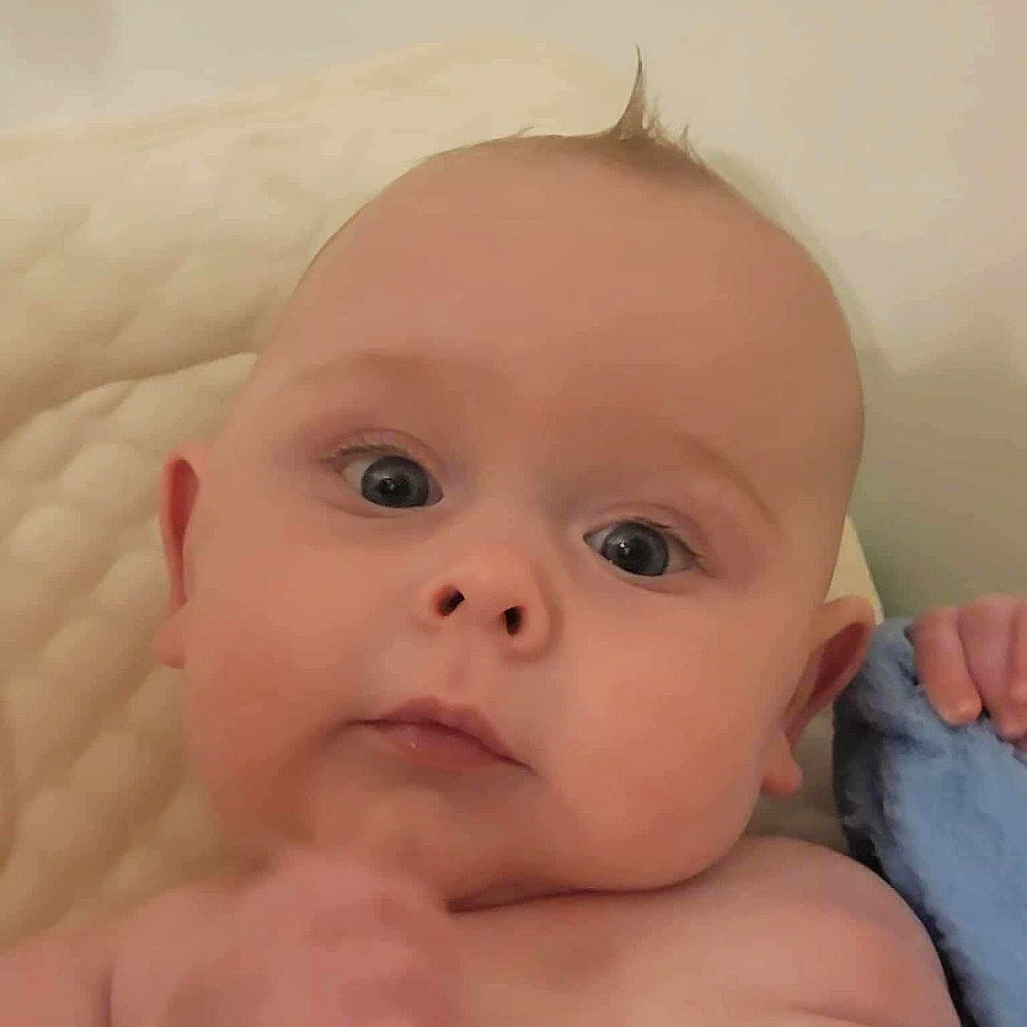 Knox is registered to the contest to win money with this photo: baby, blue_blanket, child, close_up, curious, cute, expression, eyes, face, hand, indoors, infant, newborn, person, portrait, resting, skin, soft_light, tuft_of_hair, young_child