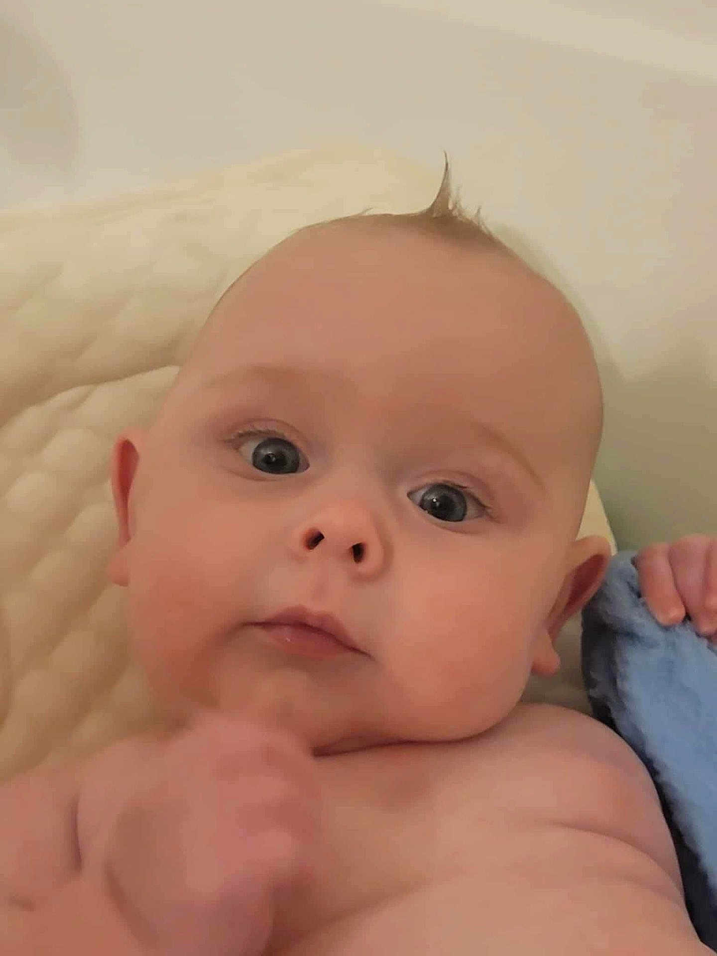 Knox is registered to the contest to win money with this photo: baby, infant, close_up, face, blue_blanket, skin, hand, eyes, expression, curious, tuft_of_hair, indoors, soft_light, portrait, young_child, child, person, cute, newborn, resting
