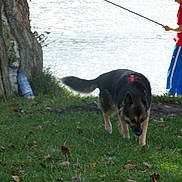 Brenda a rejoint le concours — aidez-le/la à gagner de superbes lots !