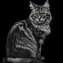 Zaya participe au concours pour gagner de l'argent avec cette photo : cat, silver_tabby, amber_eyes, long_fur, sitting, portrait, animal, pet, feline, whiskers, ears, tail, black_background, sharp_detail, soft_lighting, graceful, majestic, studio_photo, close_up, domestic_cat