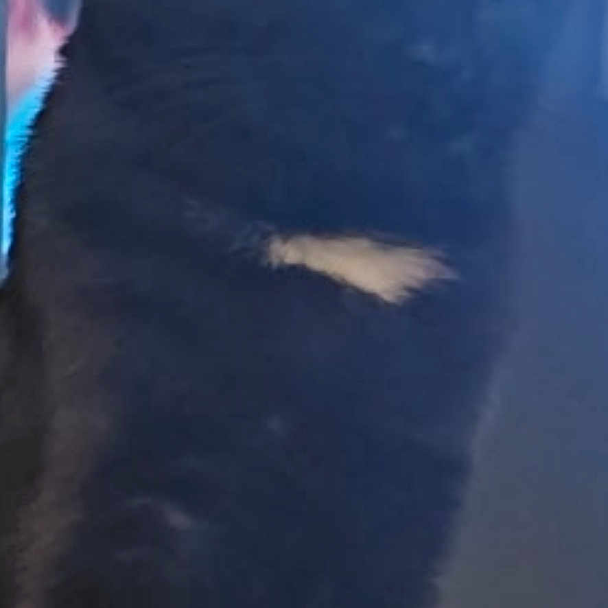 Blacky