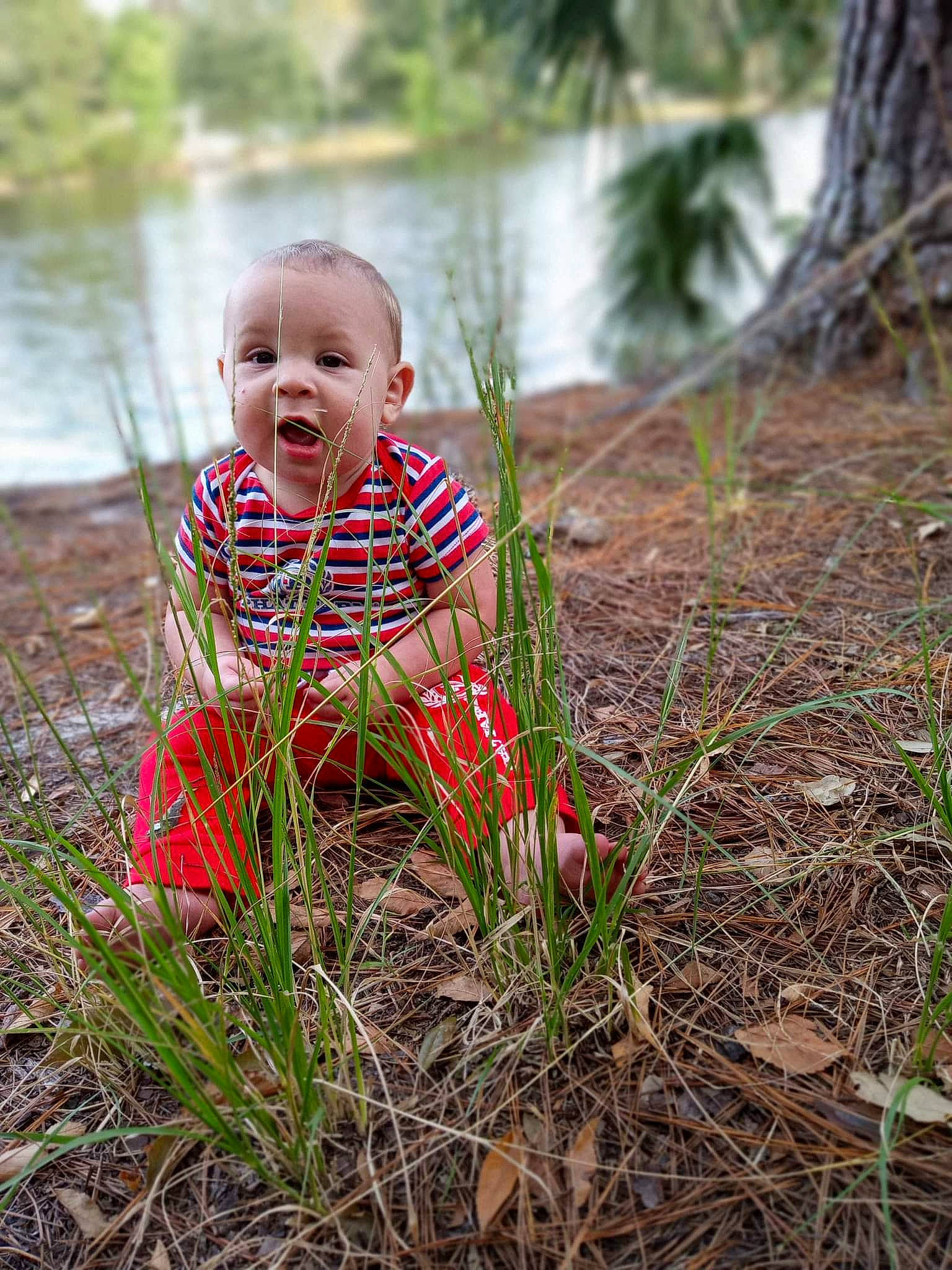 Jaxon is registered to the contest to win money with this photo: baby, child, eye, field, garden, grass, grass_family, happy, lake, people_in_nature, person, plant, plantation, sitting, smile, soil, terrestrial_plant, toddler, tree, water