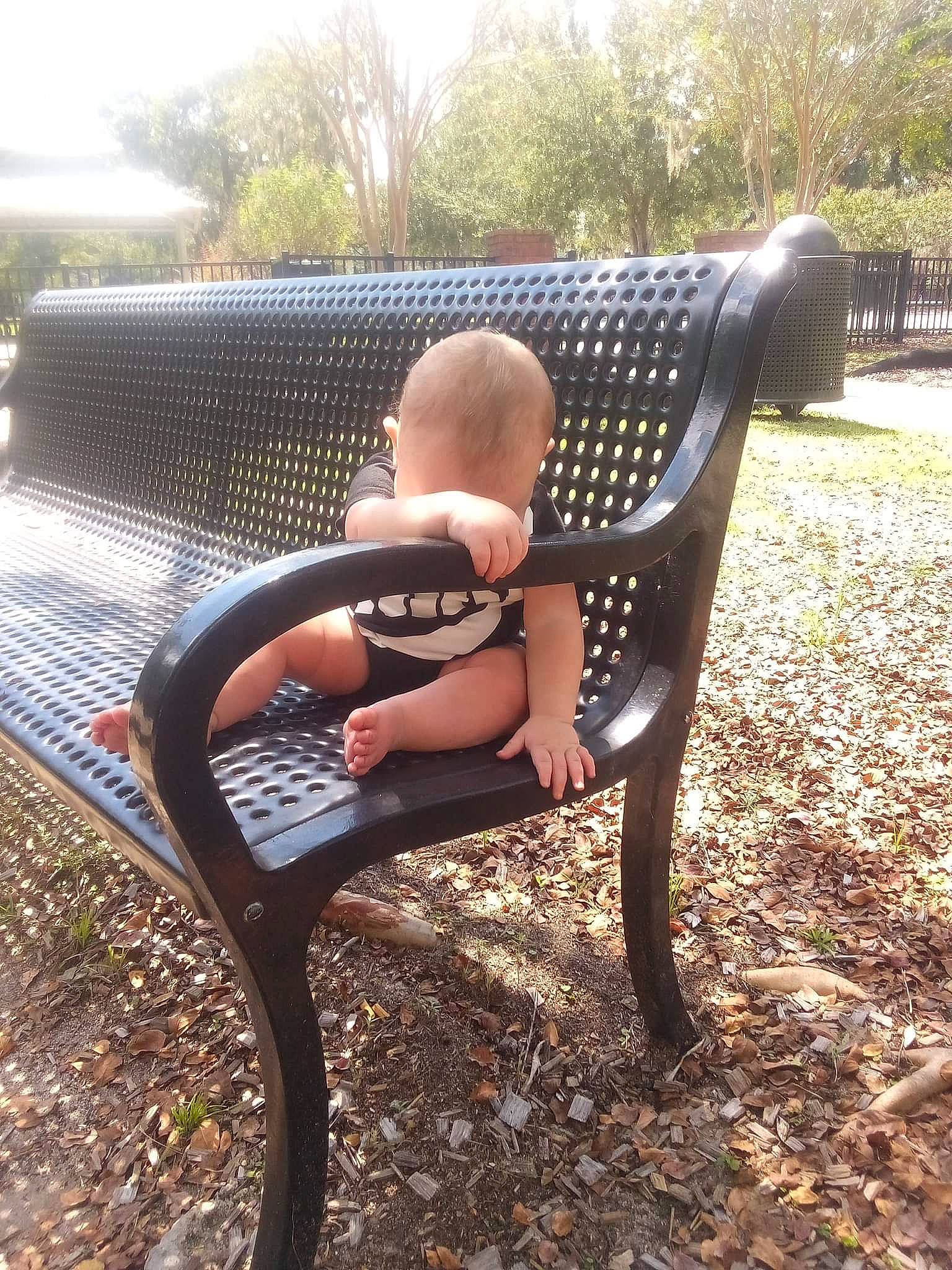 Jaxon joined the competition — help win amazing prizes! baby, bench, chair, comfort, furniture, grass, leisure, mammal, metal, outdoor_bench, outdoor_furniture, people_in_nature, person, plant, recreation, sitting, sunlight, tints_and_shades, toddler, tree