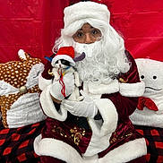 Oreo is registered to the contest to win money with this photo: person, santa_claus, cat, kitten, christmas_hat, reindeer_antlers, glasses, white_beard, red_velvet, gloves, plush_pillow, star_decoration, red_background, holiday, festive, checkered_blanket, seated, costume, indoor, cute