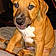 Scooby