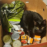 Void joined the competition — help win amazing prizes! black_cat, cat, cardboard_box, cans, food_packages, yellow_eyes, indoor, pet, feline, curious, cozy, container, groceries, domestic_animal, sitting, looking, fur, whiskers, box, household
