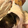 Bella is registered to the contest to win money with this photo: affection, animal, beige, black, brown, casual, checkered, closeup, comfort, cuddle, dog, face, friendship, fur, indoor, love, person, pet, shirt, white
