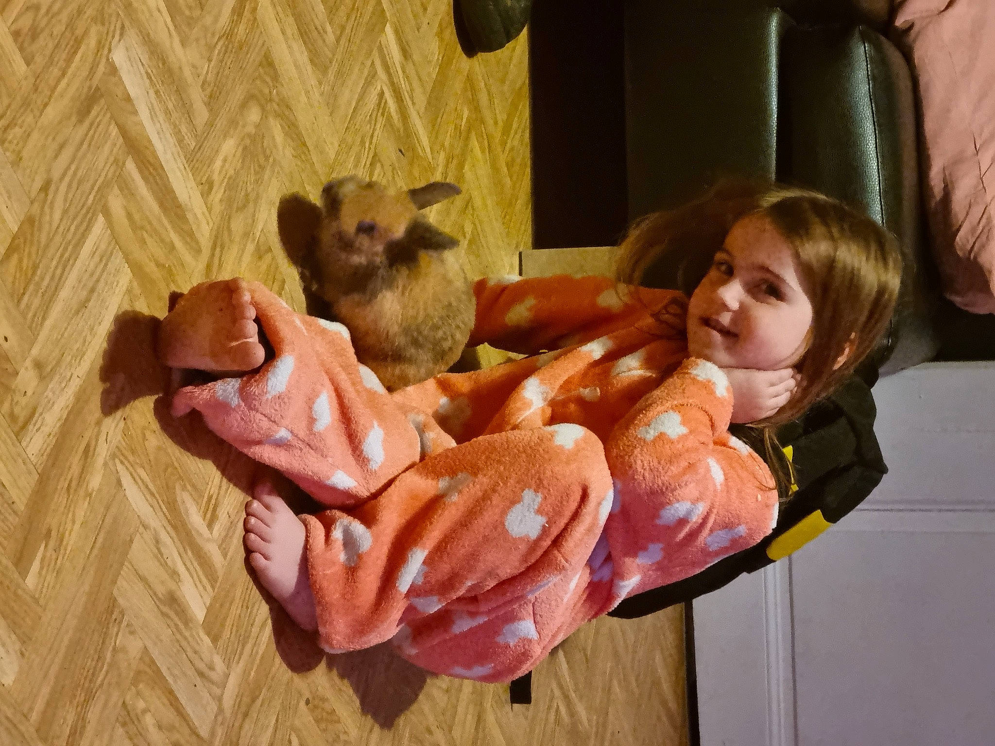 Anastassia participe au concours pour gagner de l'argent avec cette photo : baby, baby_toys, canidae, child, companion_dog, doll, fawn, fun, fur, peach, person, plush, primate, room, sitting, stuffed_toy, teddy_bear, toddler, toy, tree