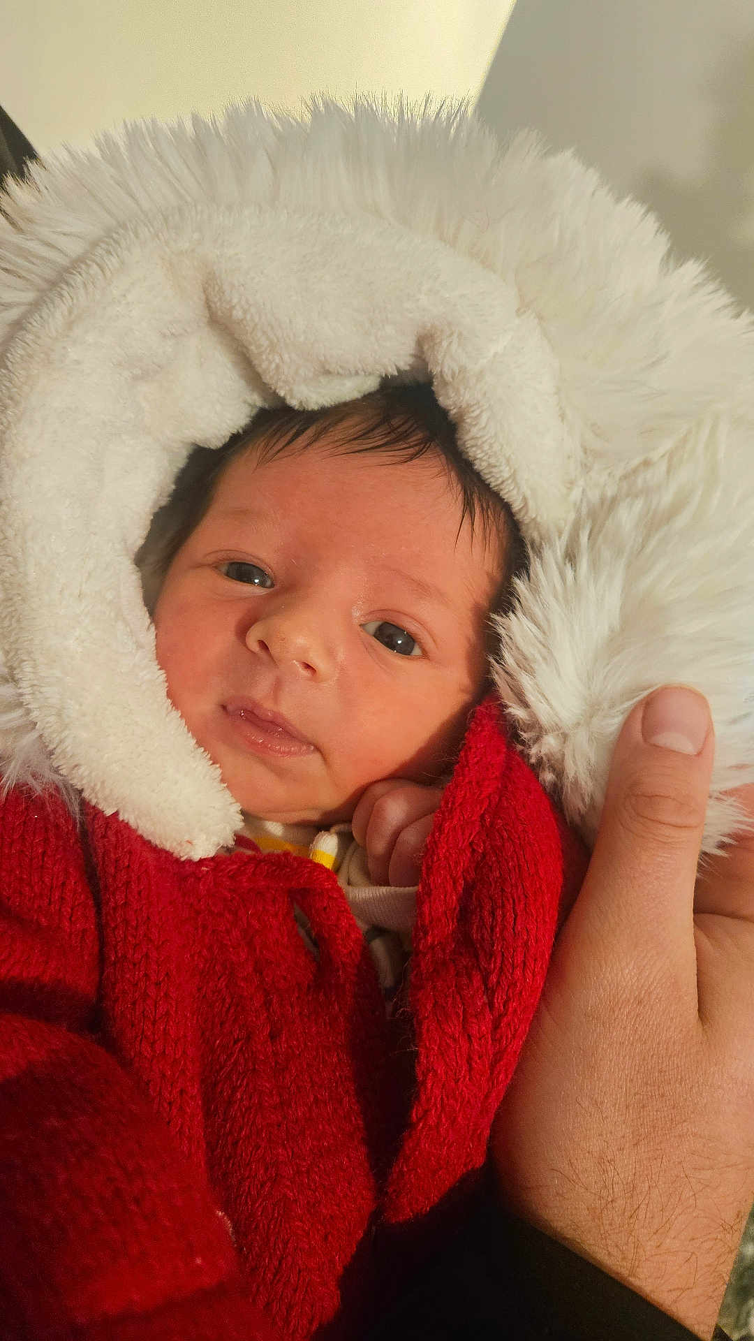 Caspian is registered to the contest to win money with this photo: baby, infant, face, red_sweater, white_hood, hand, person, portrait, cute, warm_clothing, knitwear, newborn, skin, eyes, expression, indoor, holding, soft_texture, closeup, headgear