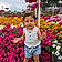 Alen