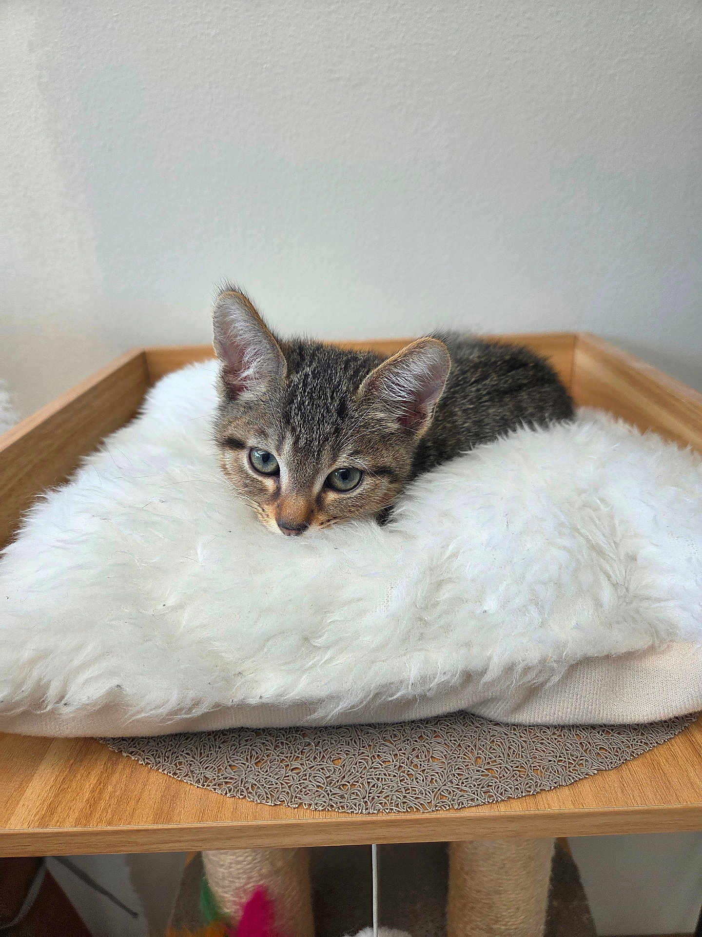 Astro