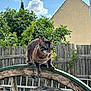 animal, blue_eyes, cat, clouds, daylight, fence, fur, garden, greenery, mammal, nature, outdoor, pet, rustic, sky, tabby_cat, tree, whiskers, wood, wooden_wheel