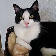 Kiki participe au concours pour gagner de l'argent avec cette photo :