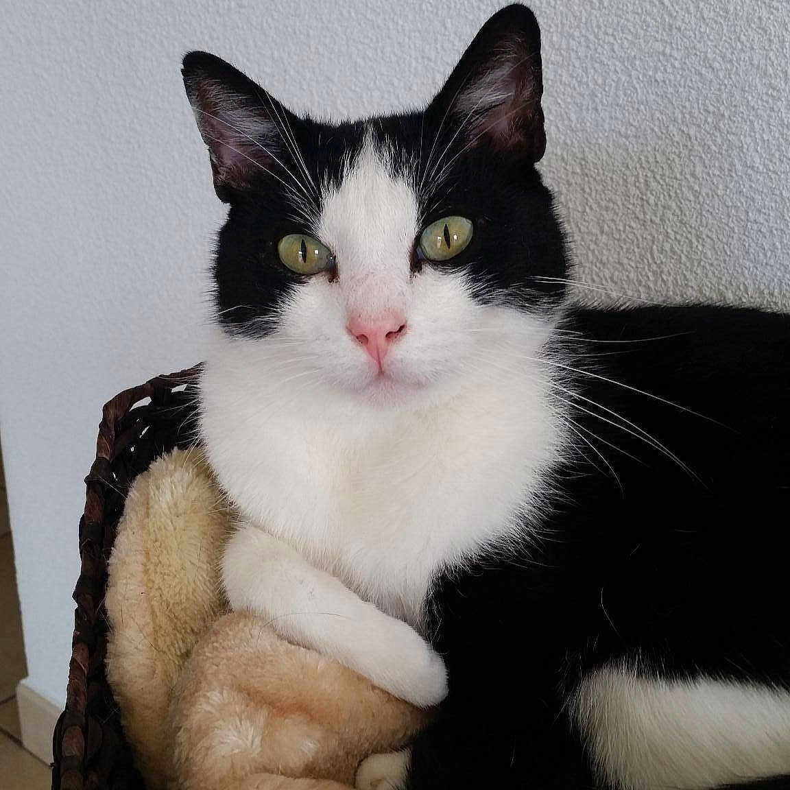 Kiki