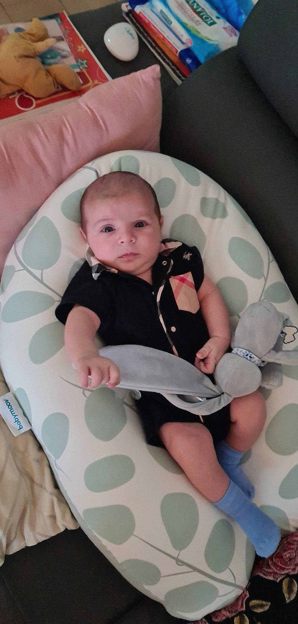 Antoine participe au concours pour gagner de l'argent avec cette photo : baby, baby_carriage, baby_products, baby_safety, baby_toddler_clothing, child, comfort, finger, head, human_leg, knee, lap, linens, person, pink, sitting, skin, sleeve, sock, thigh