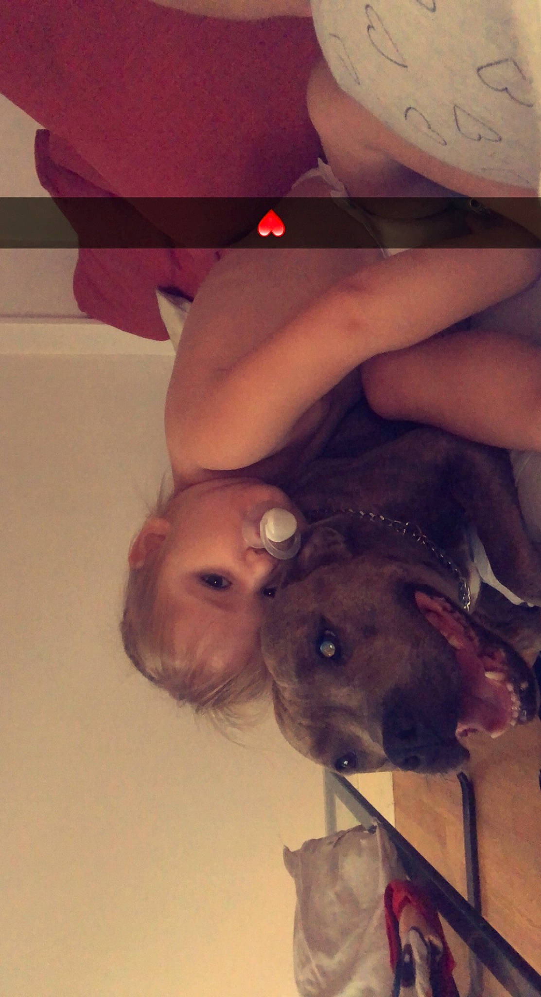 Mailys a rejoint le concours — aidez-le/la à gagner de superbes lots ! abdomen, calf, chest, companion_dog, fawn, flash_photography, flooring, fun, gesture, happy, human_body, human_leg, knee, mouth, neck, person, room, shoulder, skin, thigh