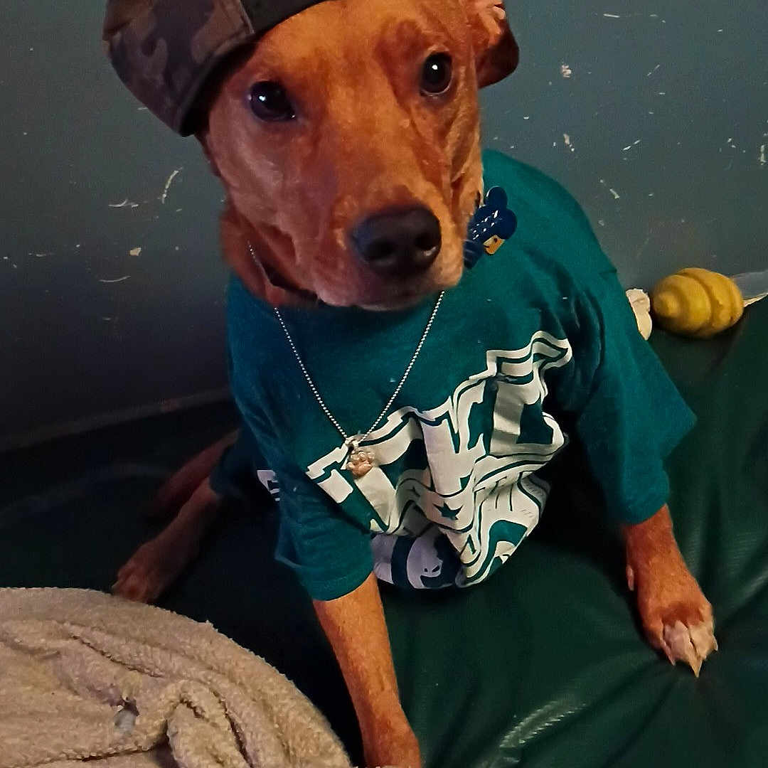 Buck