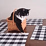 Marshall joined the competition — help win amazing prizes! animal, basket, black_and_white, black_and_white_cat, cat, checkered_pattern, cozy, domestic_animal, feline, furniture, household, indoor, paw, pet, placemat, relaxed, resting, table, wicker_basket, wooden_table