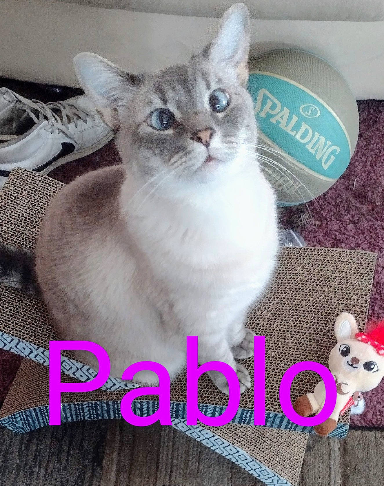 Pablo