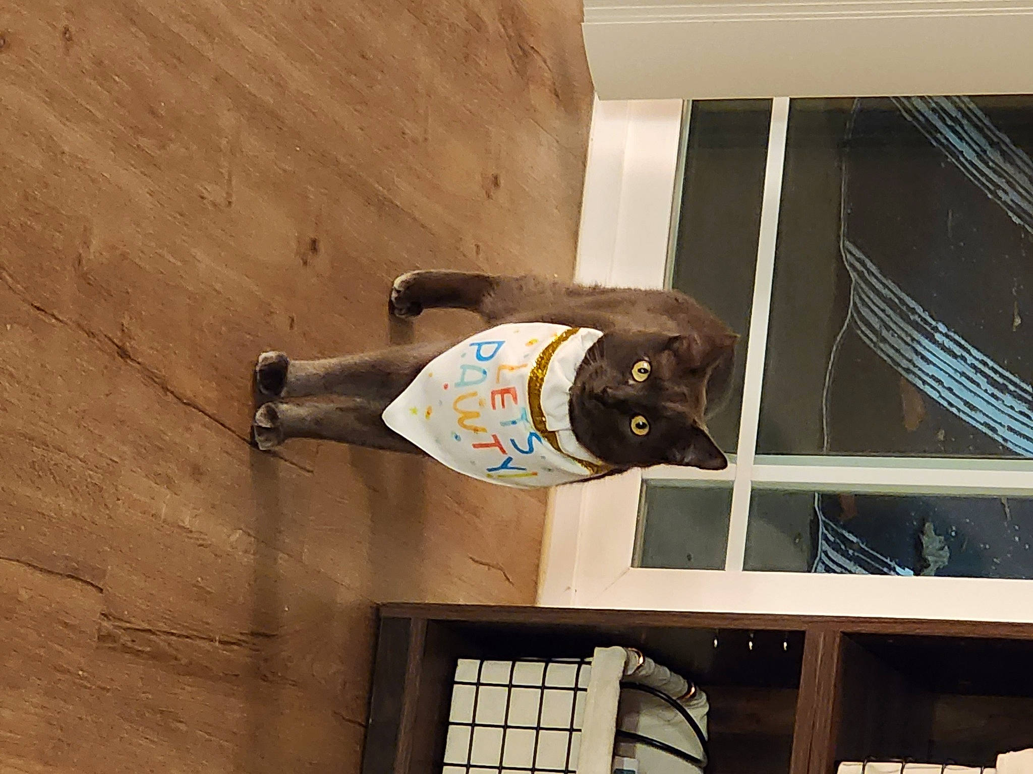 Bentley joined the competition — help win amazing prizes! building, ceiling, door, door_handle, electrical_wiring, facade, flooring, glass, hardwood, metal, plywood, rectangle, room, tints_and_shades, varnish, vehicle_door, window, wood, wood_flooring, wood_stain