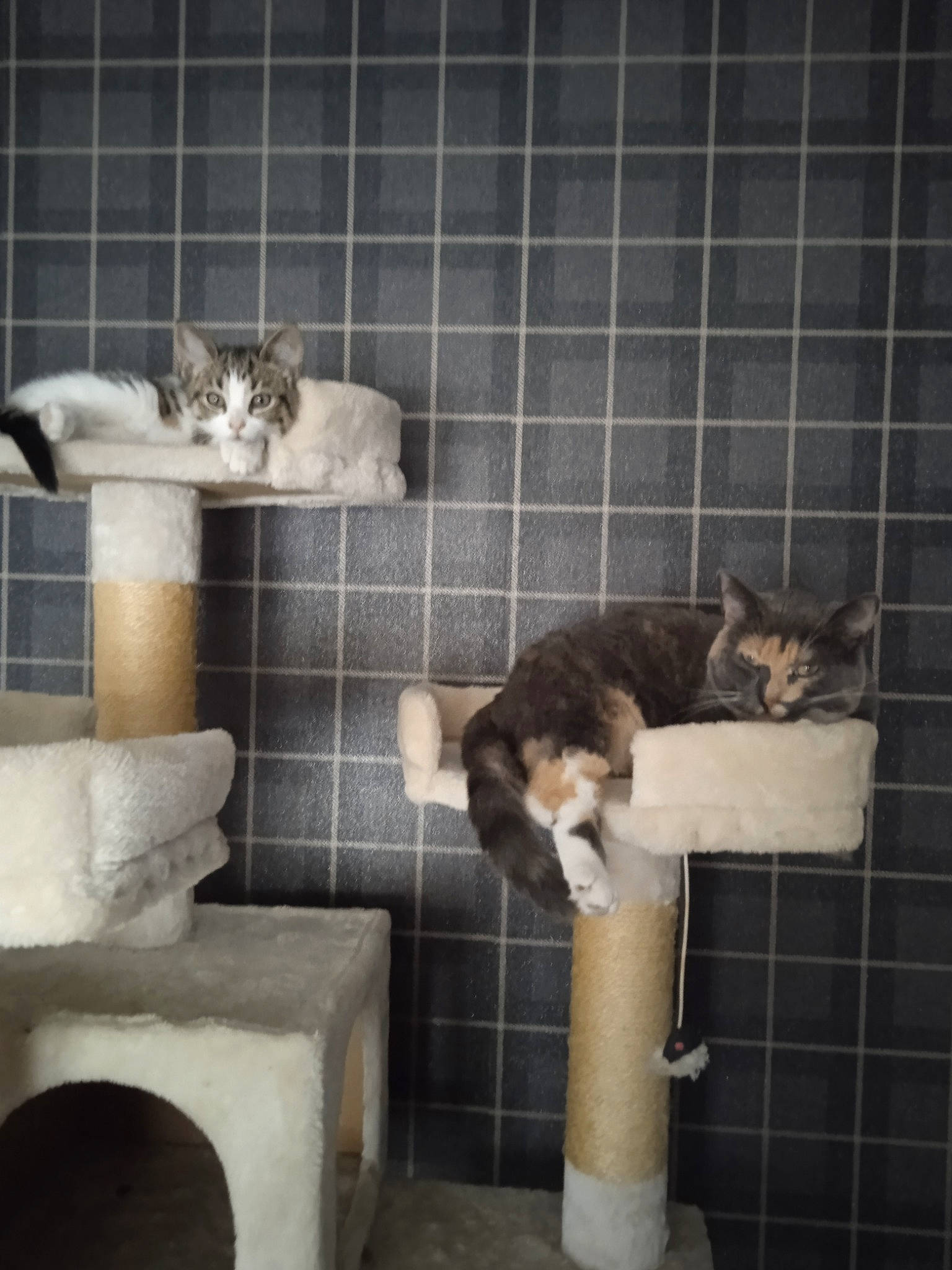 Poupounette Et Princesse