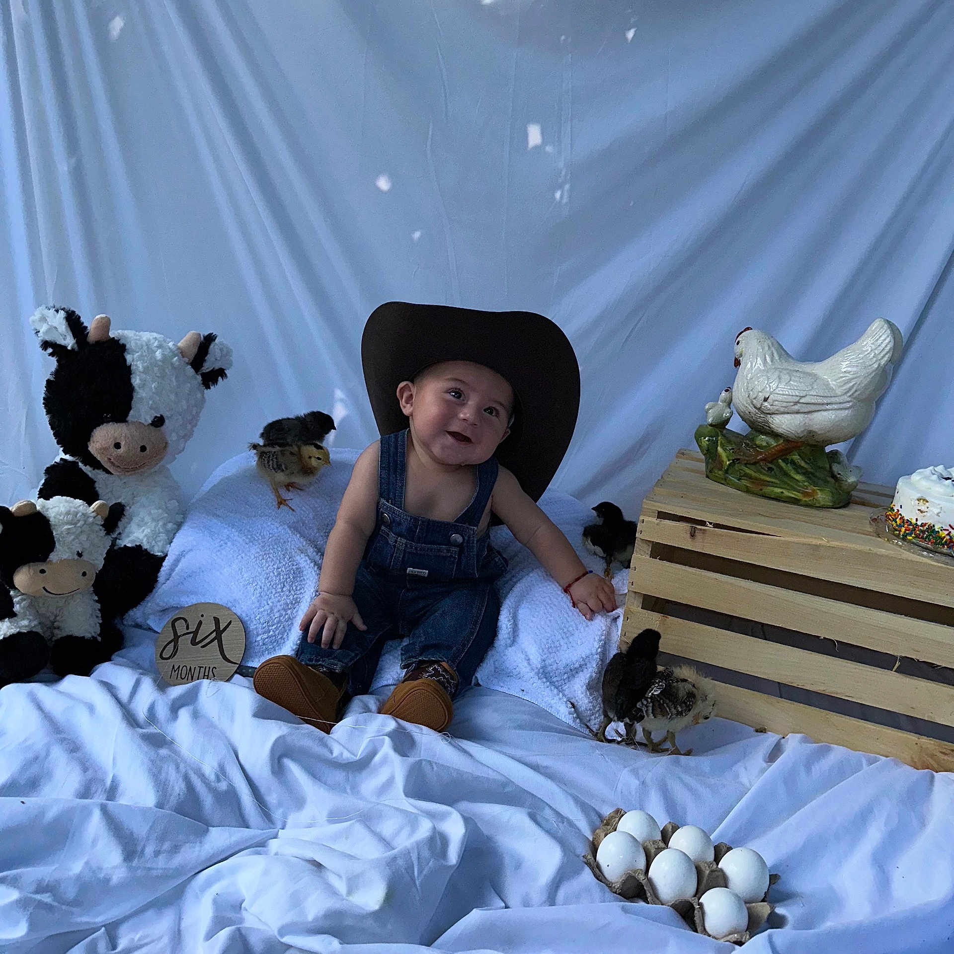 Juanluis is registered to the contest to win money with this photo: baby, cowboy_hat, denim_overalls, plush_cow, chicks, wooden_crate, ceramic_hen, eggs, blanket, smiling, sitting, cute, indoors, decor, child, toy, animal, farm_theme, portrait, happy