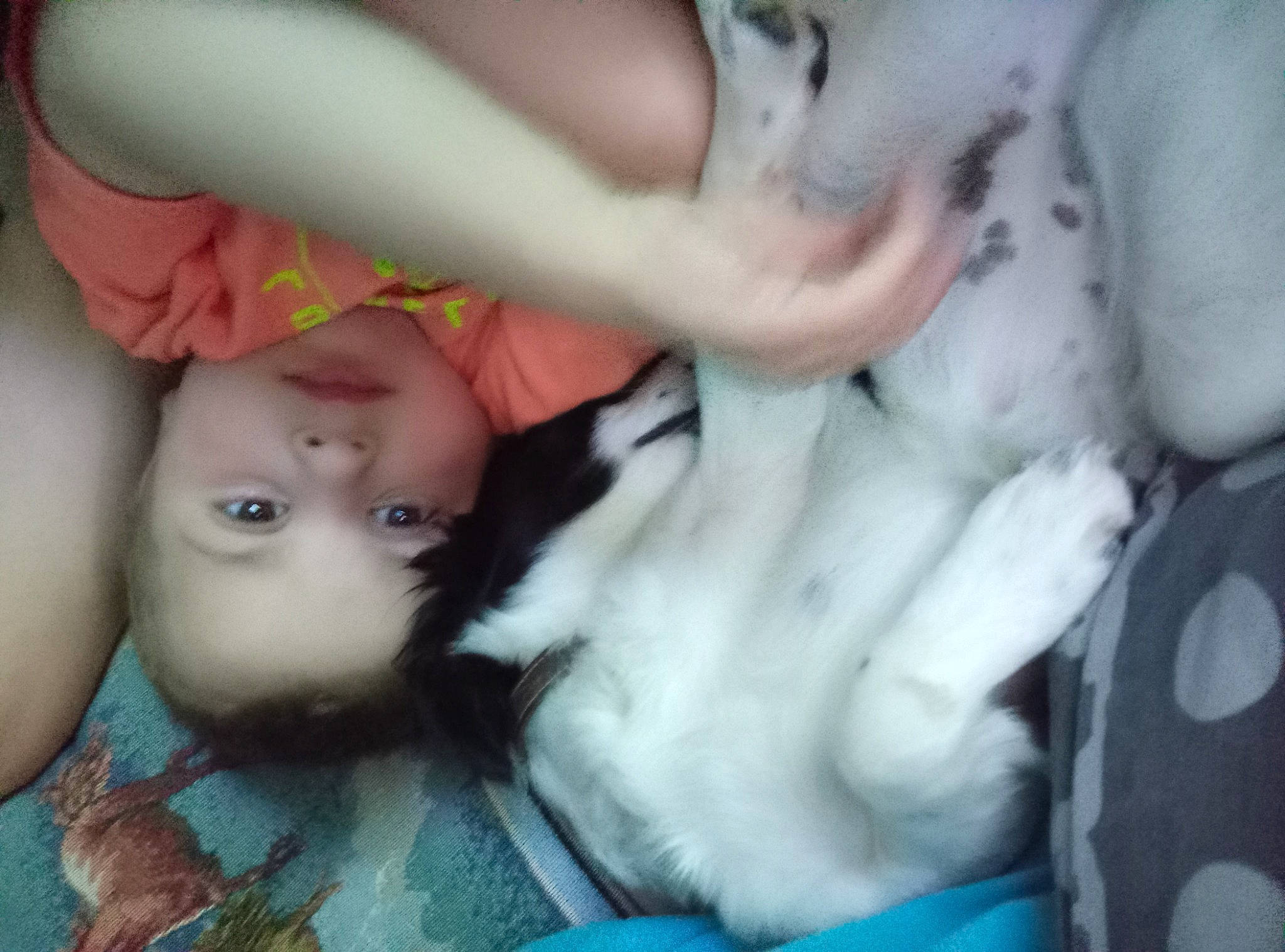 Evrest participe au concours pour gagner de l'argent avec cette photo : baby, baby_products, baby_toddler_clothing, cheek, child, companion_dog, ear, eyebrow, eyelash, fun, gesture, happy, iris, mammal, mouth, nail, nose, skin, toddler, vertebrate