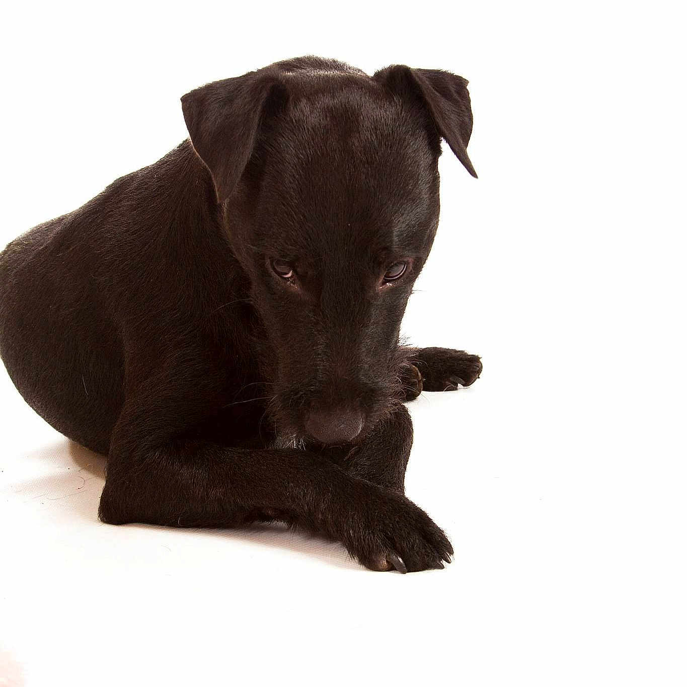 Jimmy joined the competition — help win amazing prizes!