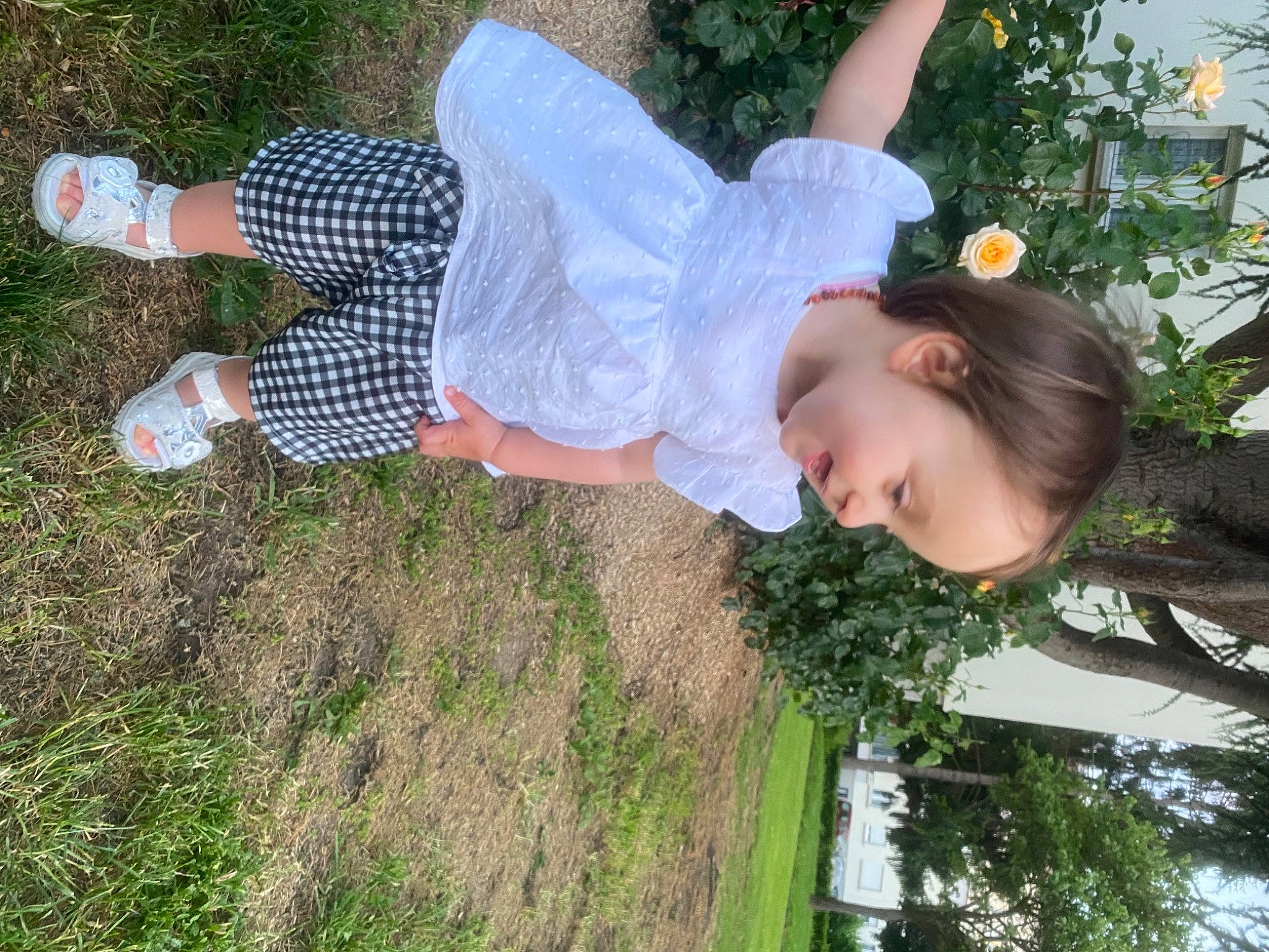 Ambre participe au concours pour gagner de l'argent avec cette photo : child, foot, fun, grass, green, happy, human_leg, leaf, leisure, people_in_nature, person, plant, recreation, shrub, soil, spring, t_shirt, thigh, toddler, tree