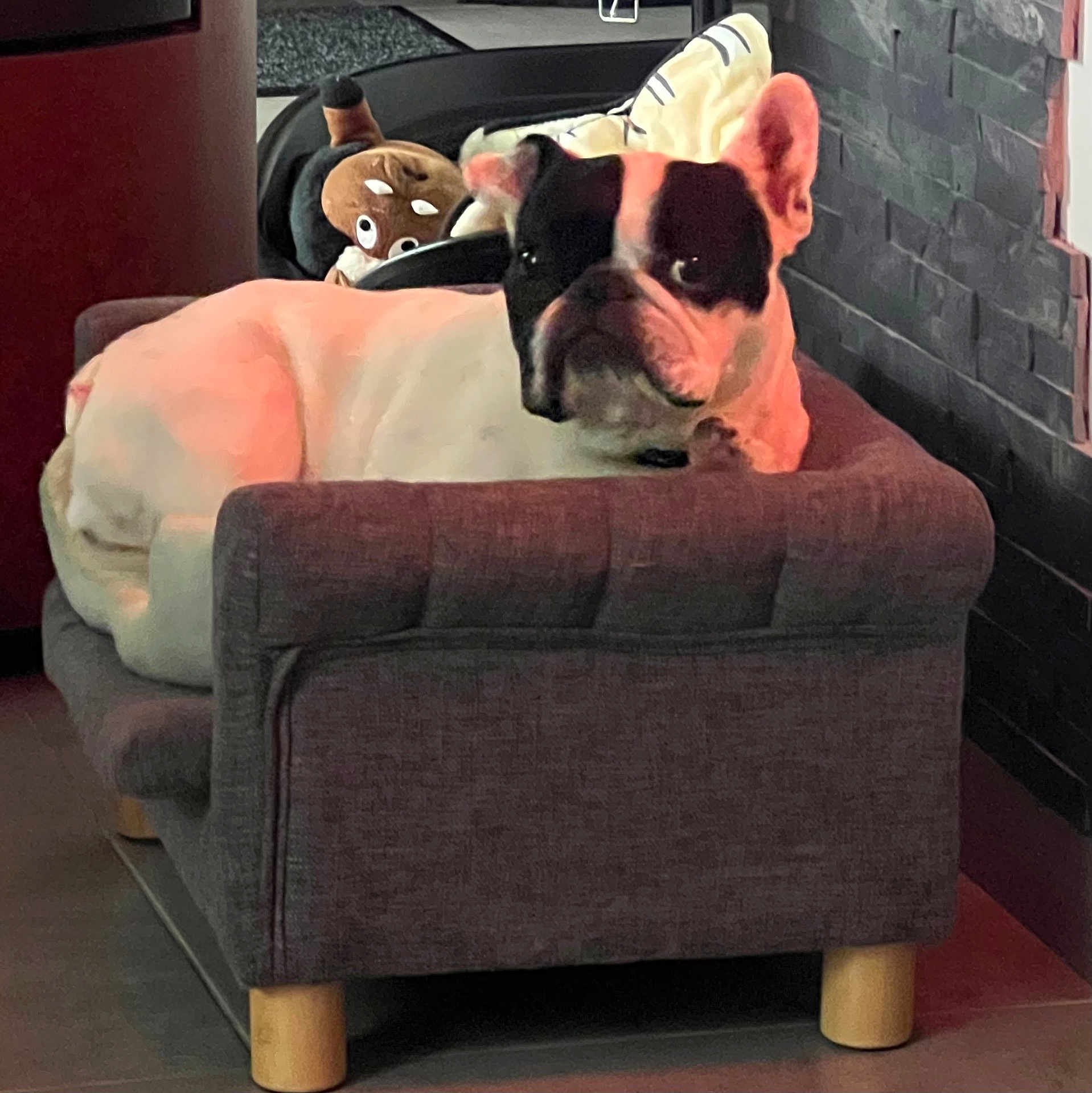 Lilou