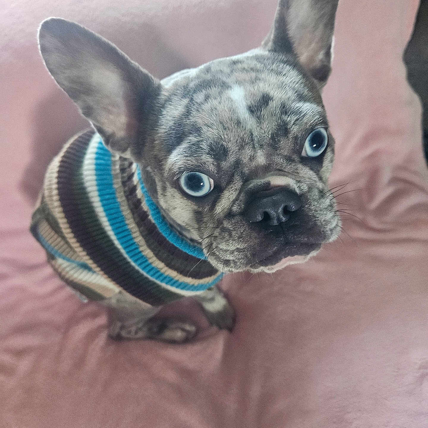 Luna