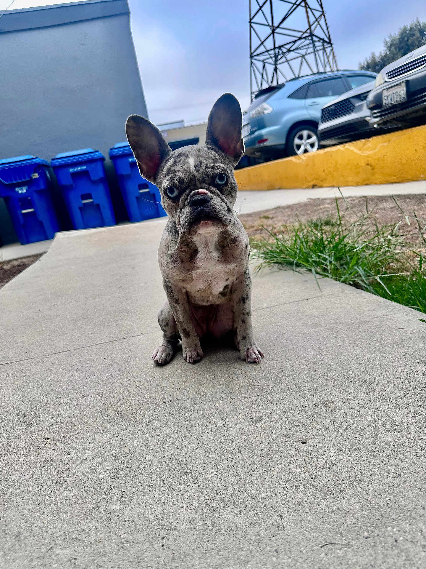 Luna