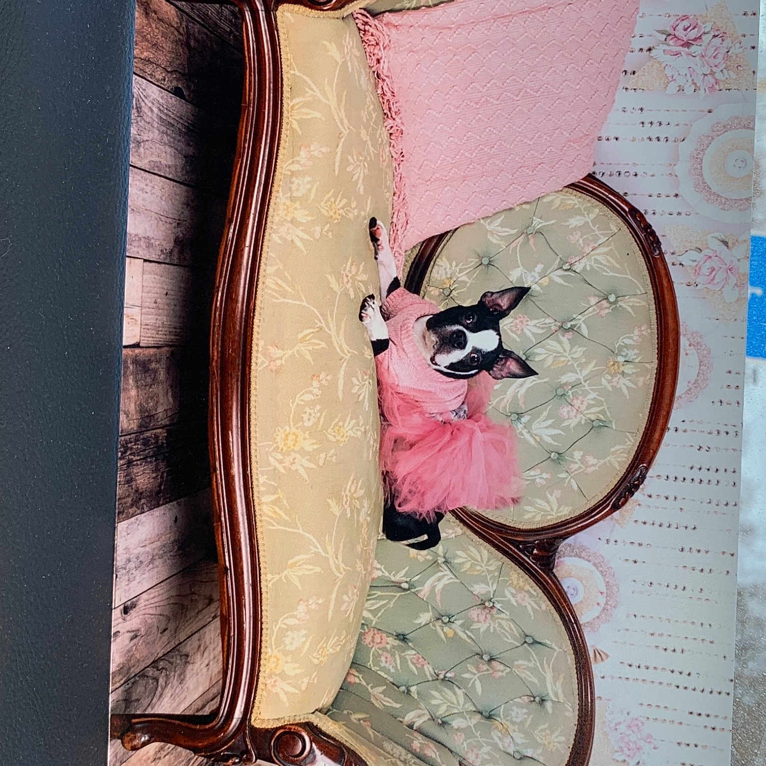 Miss Gracie joined the competition — help win amazing prizes! creative_arts, drawing, illustration, paper, paper_product, pattern, peach, stationery, teddy_bear