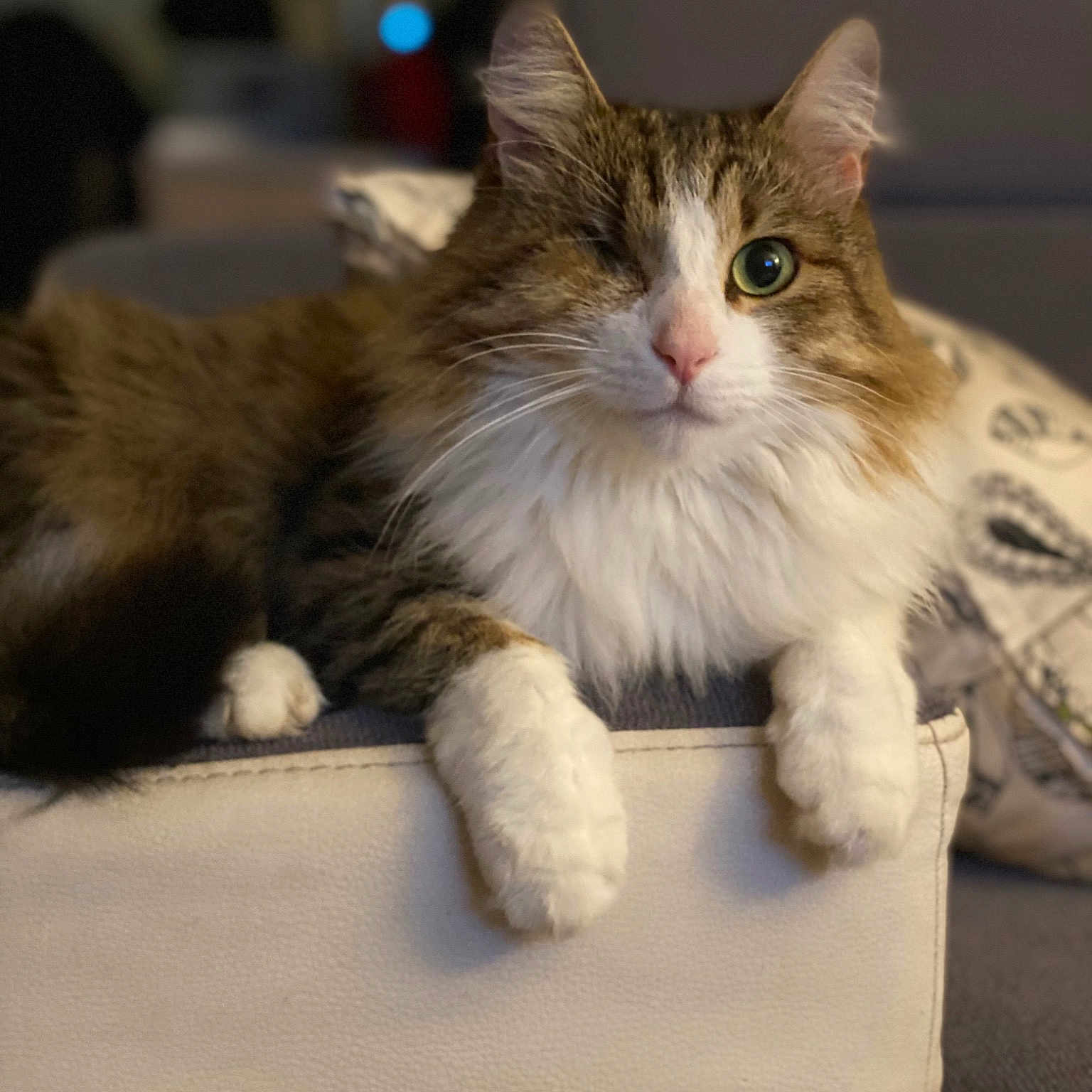 Otis