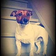 Tobby participe au concours pour gagner de l'argent avec cette photo :