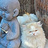 animal, cat, ceramic_pot, decor, feline, fluffy_cat, garden, meditation, nature, outdoor, peaceful, pet, pottery, prayer_pose, quiet, relaxing, serene, statue, stone_statue, sunlight