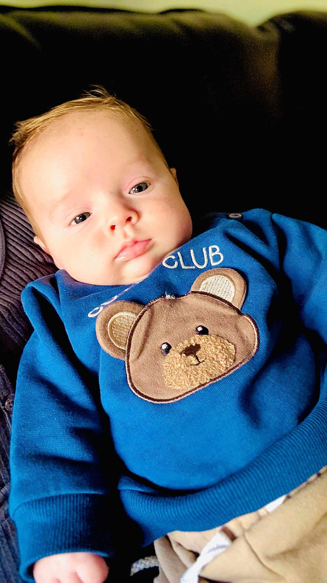 Diago León joined the competition — help win amazing prizes! baby, child, infant, blue_sweater, teddy_bear_patch, face, eyes, hand, clothing, couch, indoors, person, cute, portrait, skin, young, warm, relaxed, soft_light, cozy