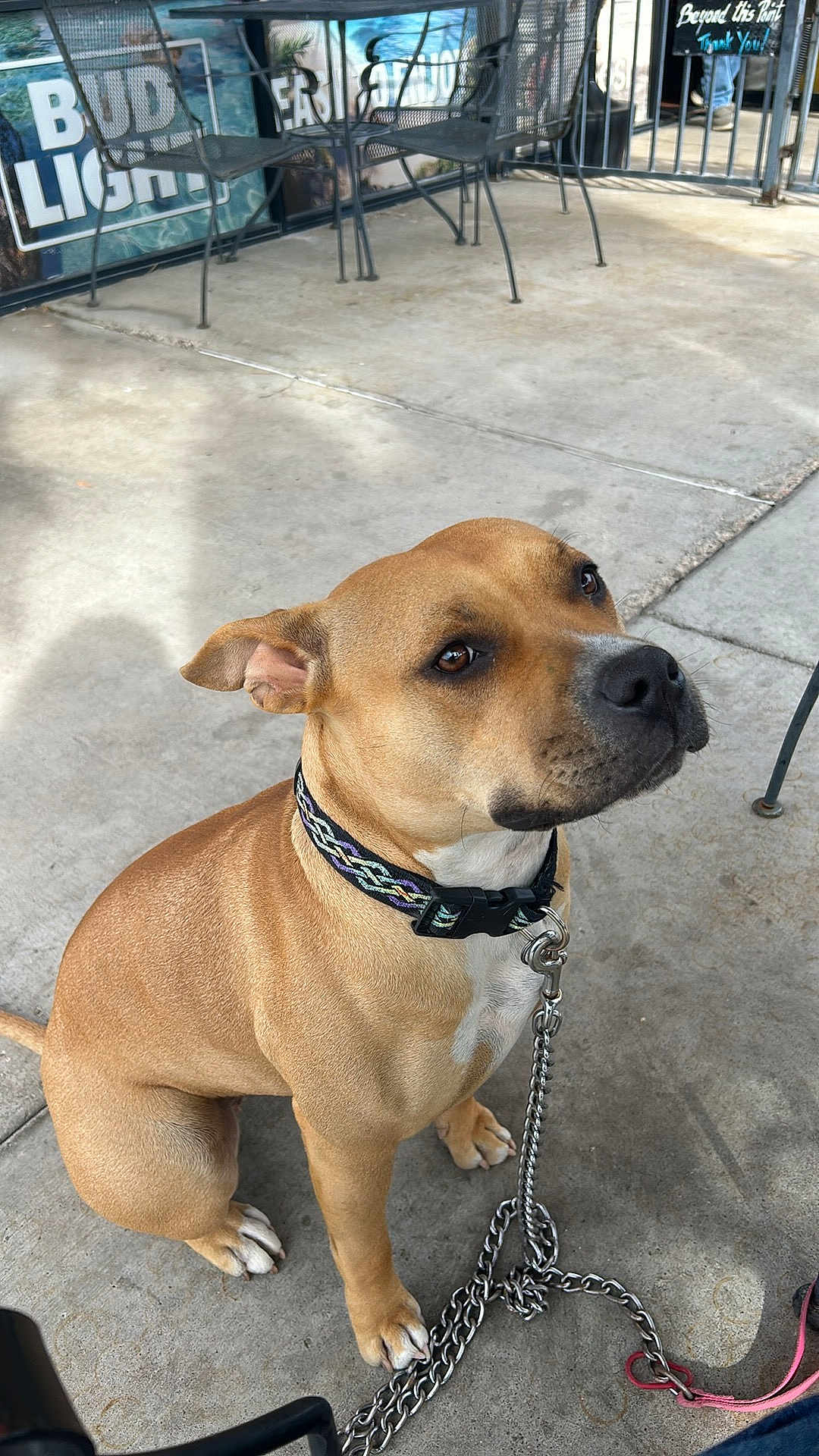 Stormi