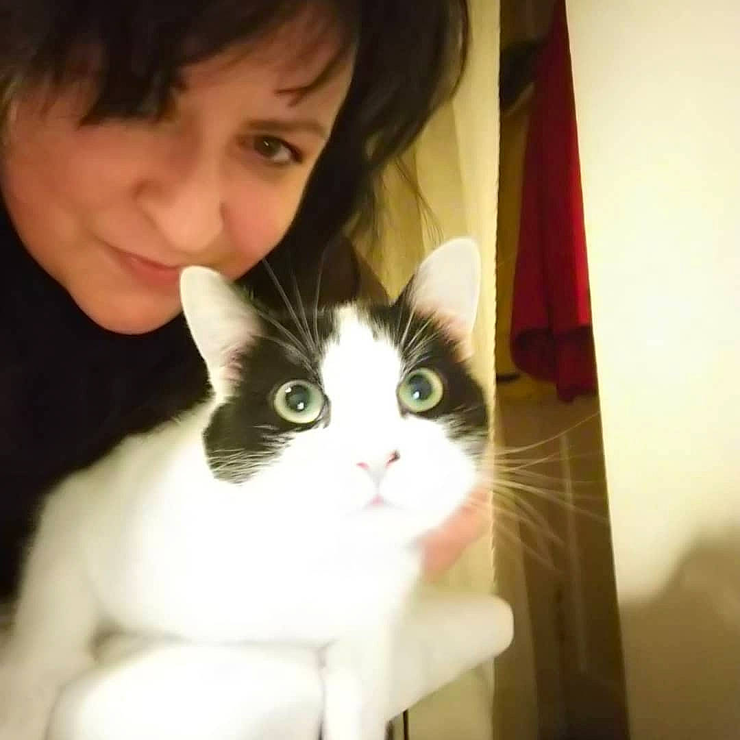 Figgy joined the competition — help win amazing prizes! black_hair, carnivore, cat, domestic_short_haired_cat, ear, eye, felidae, fur, iris, joy, kitten, nose, person, polydactyl_cat, selfie, skin, small_to_medium_sized_cats, smile, whiskers