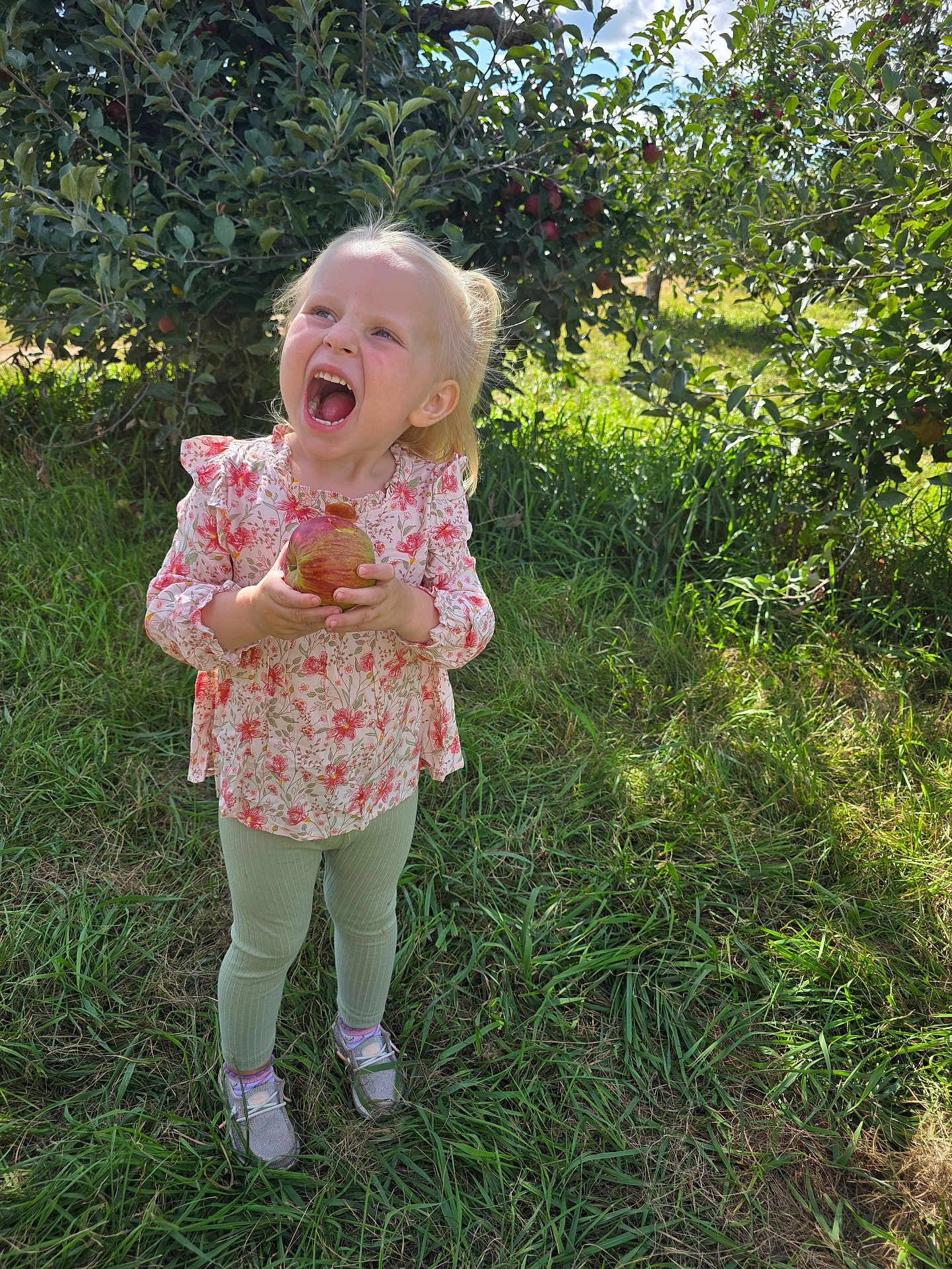 Ella joined the competition — help win amazing prizes! child, girl, apple, apple_orchard, outdoor, grass, tree, nature, daylight, happy, smiling, holding, fruit, greenery, footwear, clothing, long_sleeve, pants, shoes, sunlight