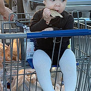 Yaimari joined the competition — help win amazing prizes! black_clothing, car, cardboard, child, curious, cute, daylight, grocery_bags, hand, headband, metal_cart, outdoor, parking_lot, person, shopping_cart, sitting, toddler, urban, vehicle, white_tights