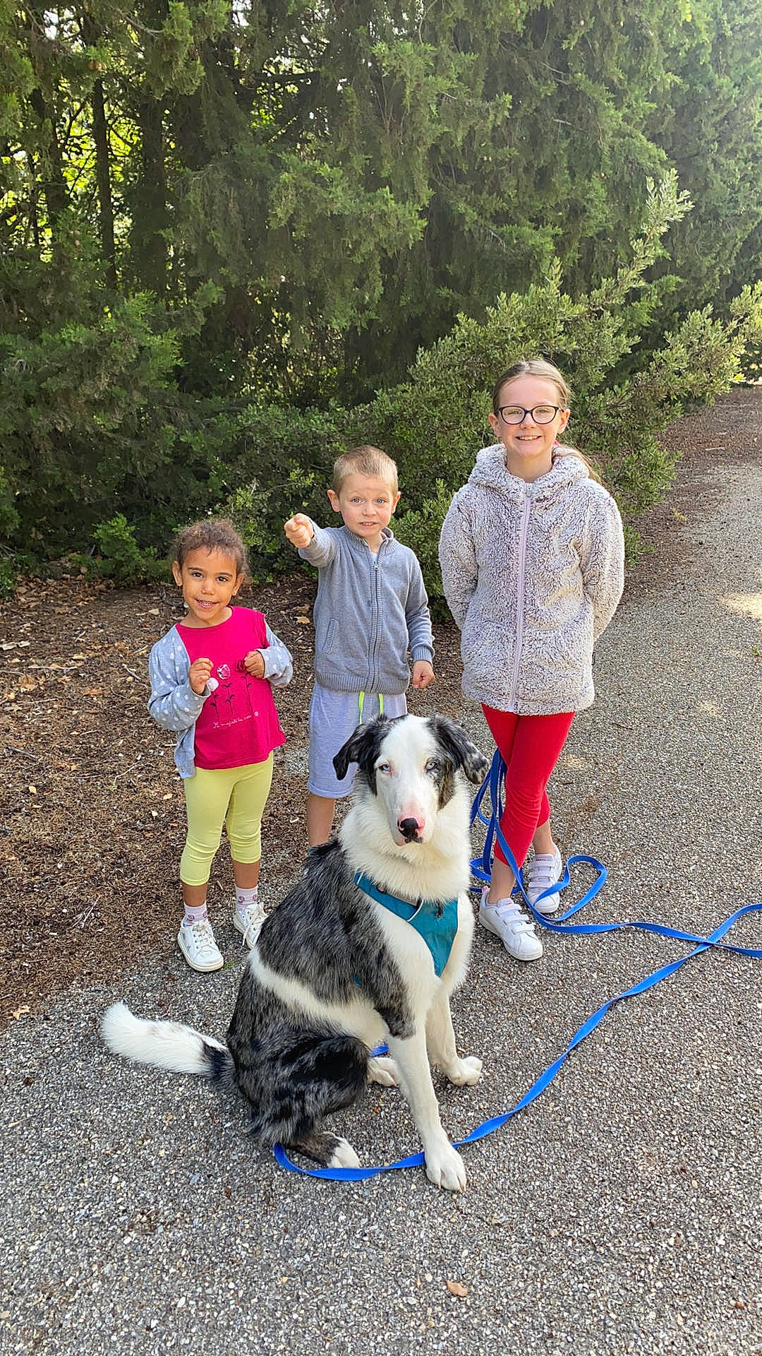 Happy a rejoint le concours — aidez-le/la à gagner de superbes lots ! boot, carnivore, companion_dog, dog, dog_breed, footwear, fun, grass, leash, leg, leisure, mammal, plant, recreation, sneakers, soil, sporting_group, toddler, tree, vertebrate