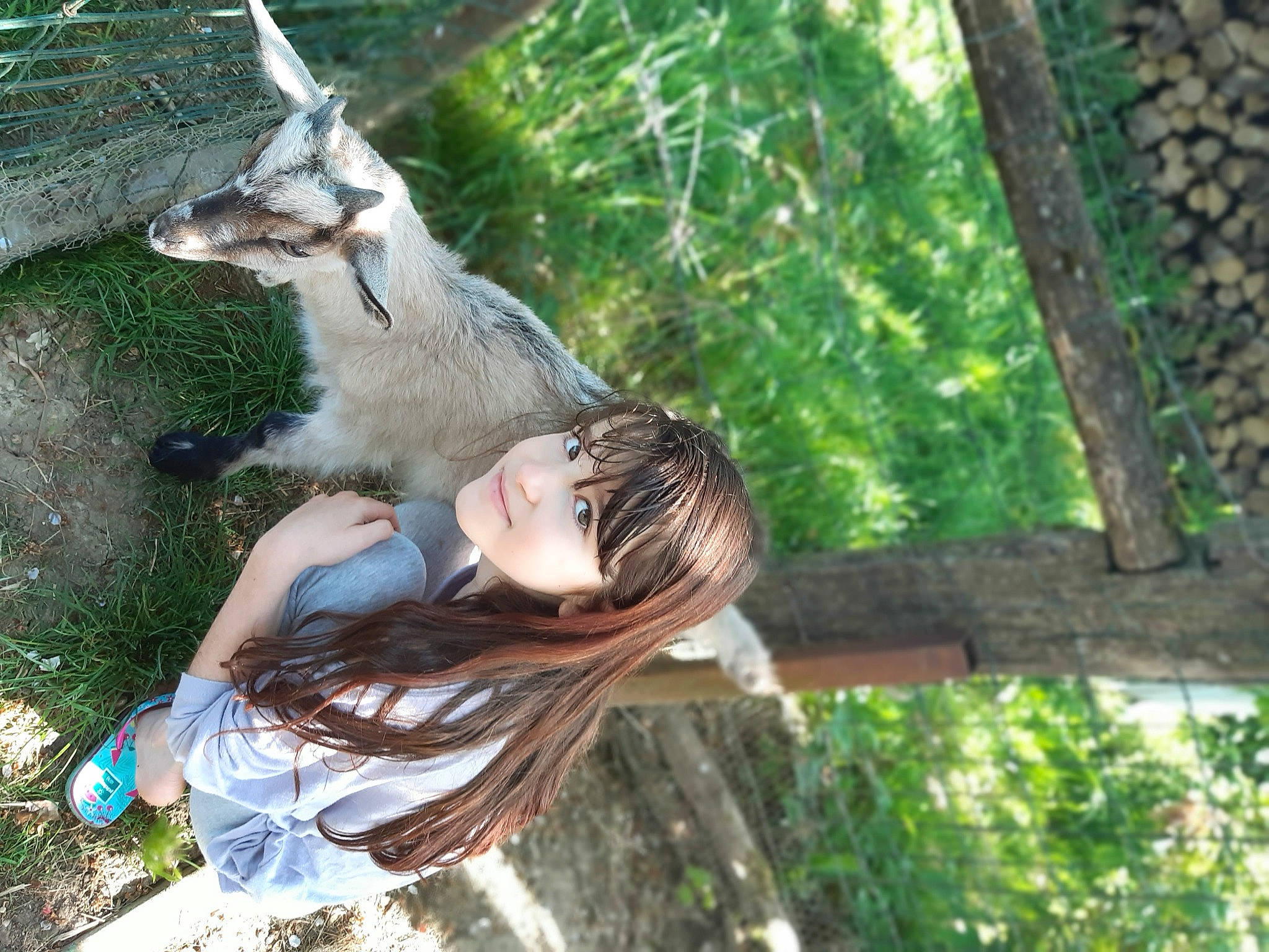 June participe au concours pour gagner de l'argent avec cette photo : fawn, joy, person, tree, wildlife