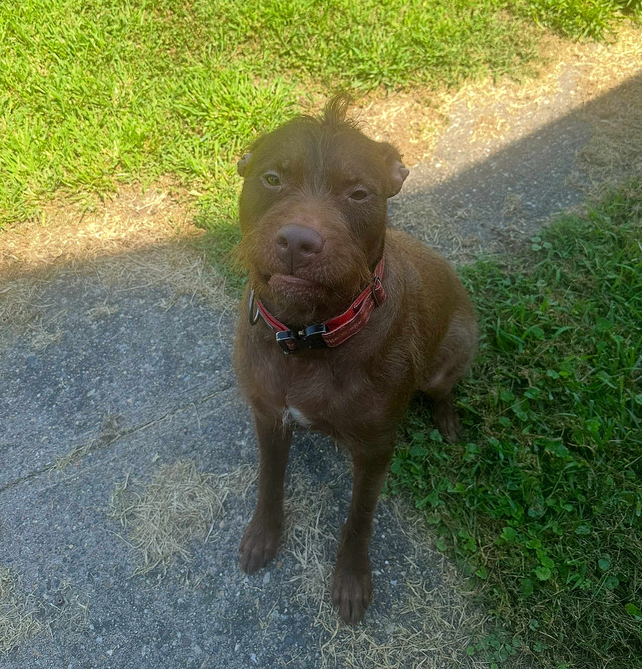 Kona