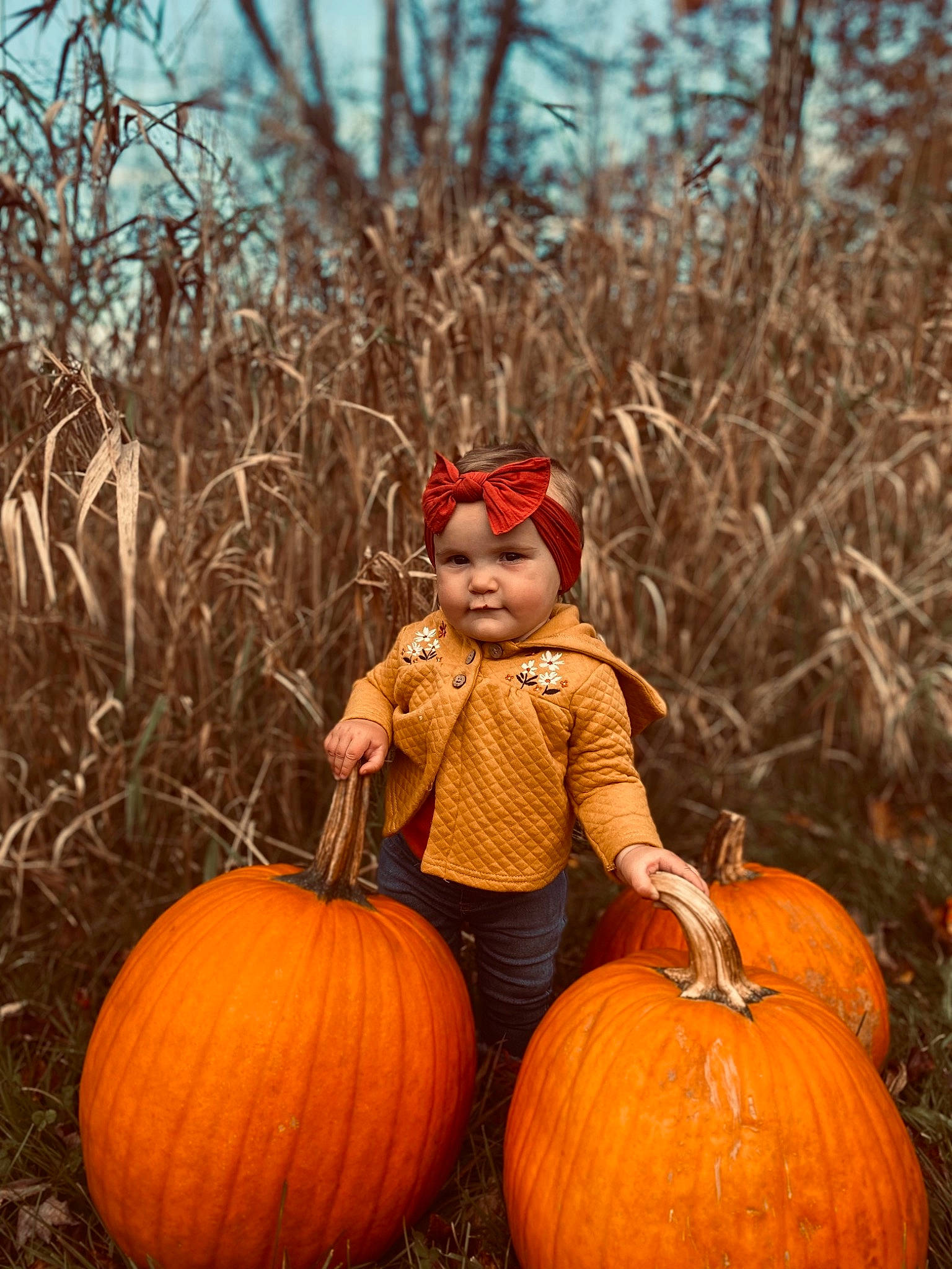 Cali joined the competition — help win amazing prizes! calabaza, cucurbita, eye, gourd, grass, happy, hat, head, headwear, human_body, natural_foods, people_in_nature, person, plant, pumpkin, sky, squash, toddler, tree, vegetable