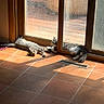 animal, cat, cozy, door, feline, floor_vent, glass_door, gray_cat, home, indoor, pet, relaxing, resting, shadow, sunbeam, sunlight, tabby_cat, tile_floor, warm_light, window