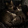 Pricilla And Jack