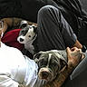 animal, black_blanket, companion, cozy, cuddle, cute, dog, domestic, gray_pants, indoor, lap, person, pet, puppy, relaxation, resting, tattoo, tattooed_arm, white_shirt, wooden_floor