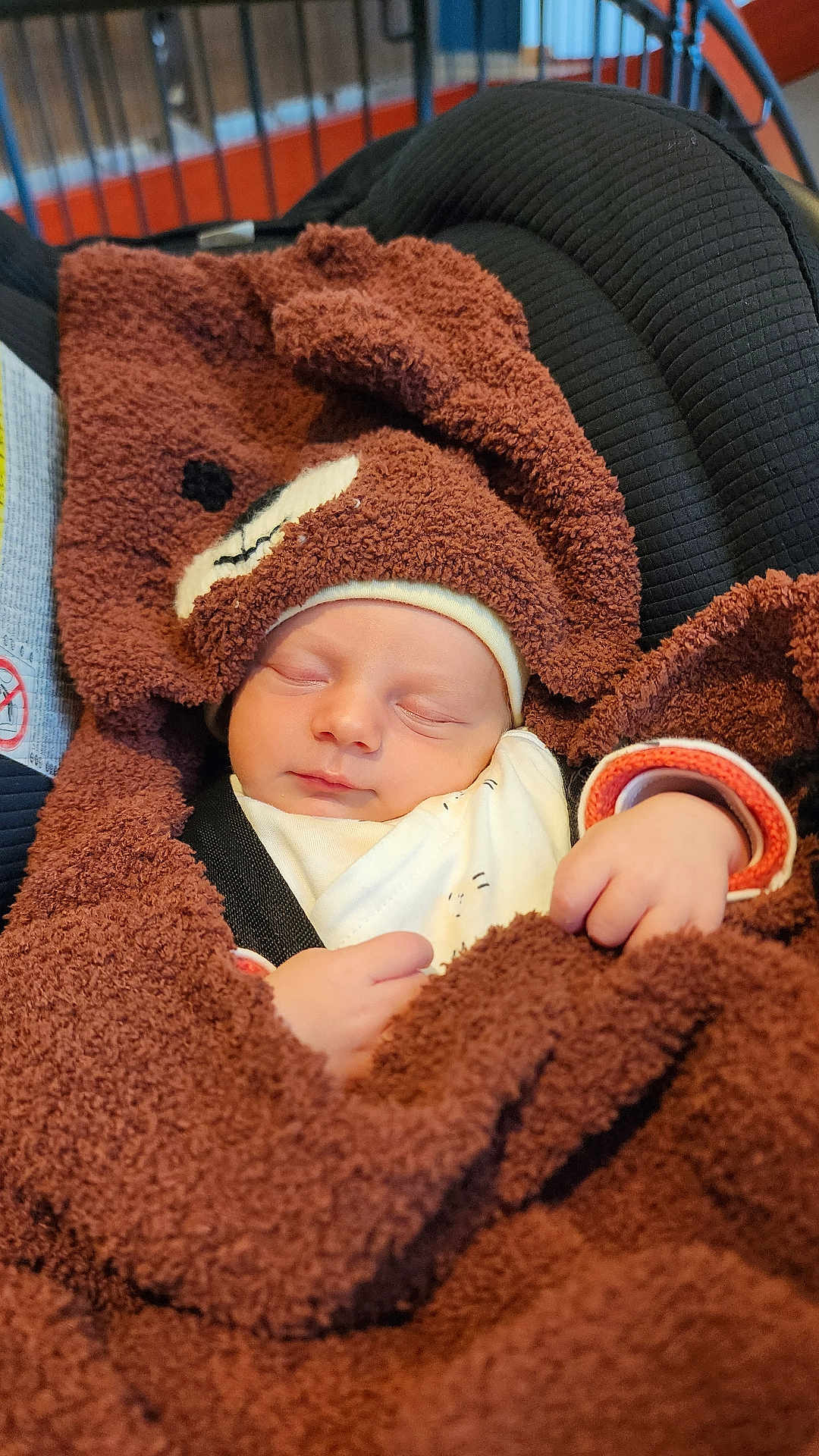 Marius participe au concours pour gagner de l'argent avec cette photo : baby, newborn, sleeping, blanket, brown, bear, car_seat, child, infant, cozy, cute, soft, wrapped, peaceful, clothing, face, hands, headwear, resting, indoors